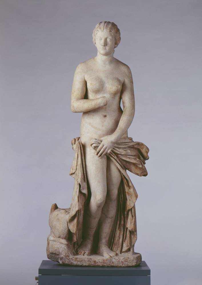 Venus Lucilla